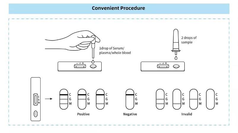 Colloidal Gold Lateral Flow Immunoassay — flow diagram